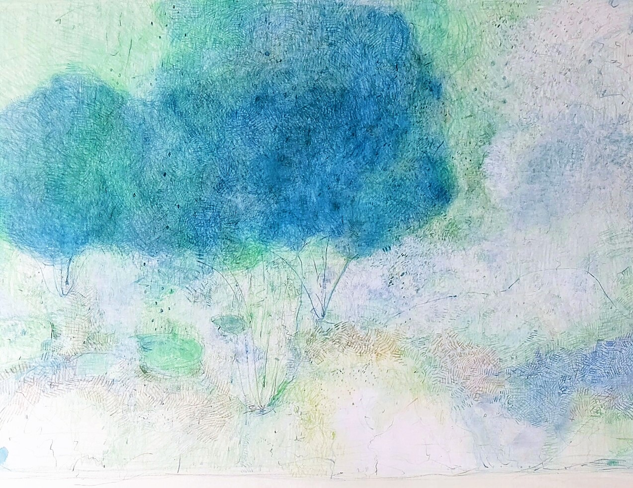 Garden　2014　356×506㎜　　　　　　　　　　　　colorpencil on paper