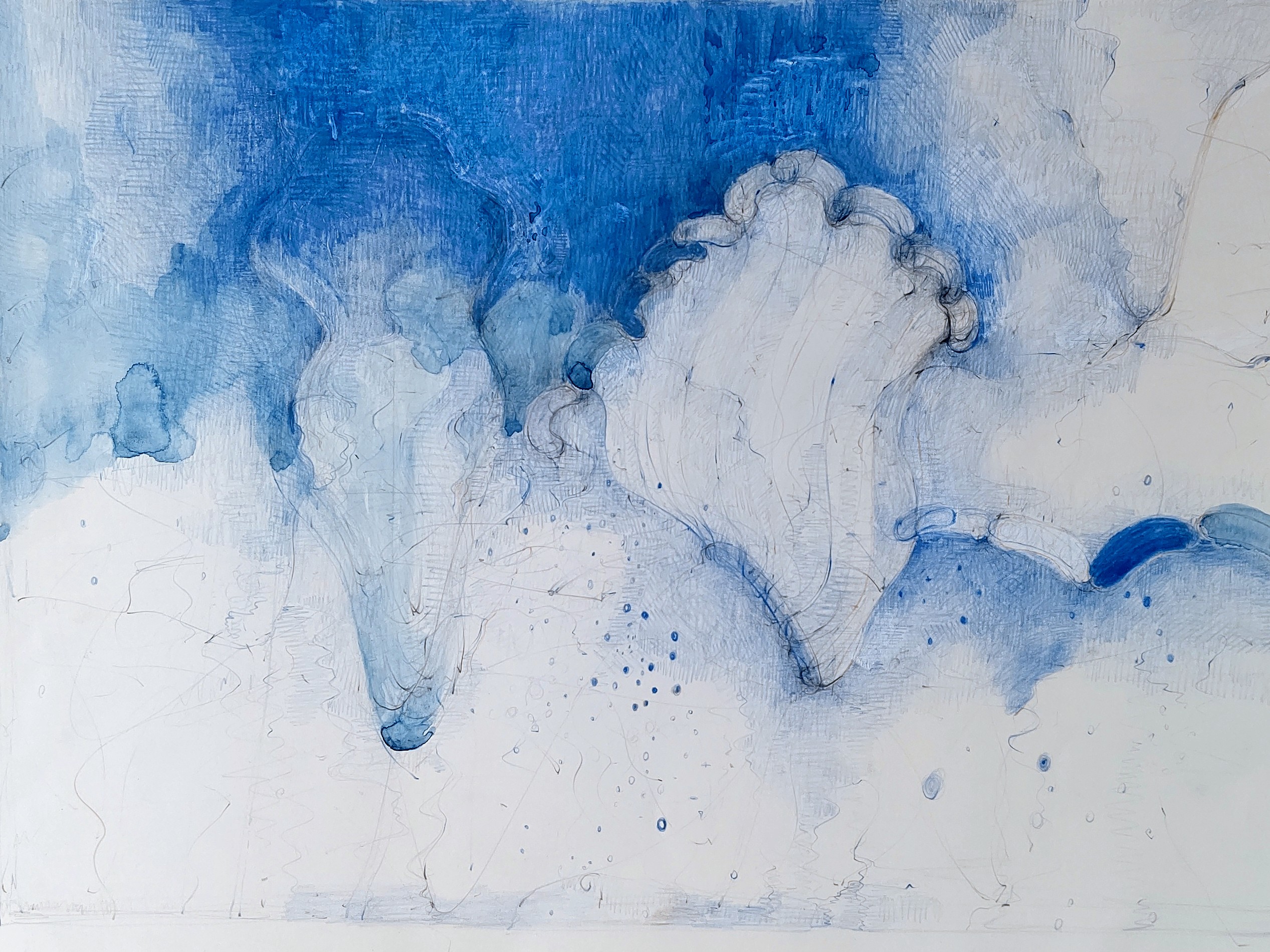 Water Torso　　2011　355×490㎜　　    colorpencil，watercolor on paper