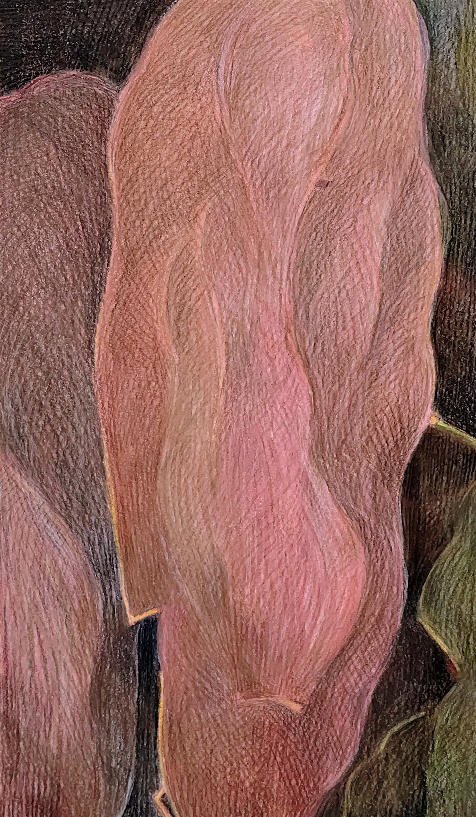 Image　1990年　500×220㎜　　　　　　　　　　　　colorpencil on paper