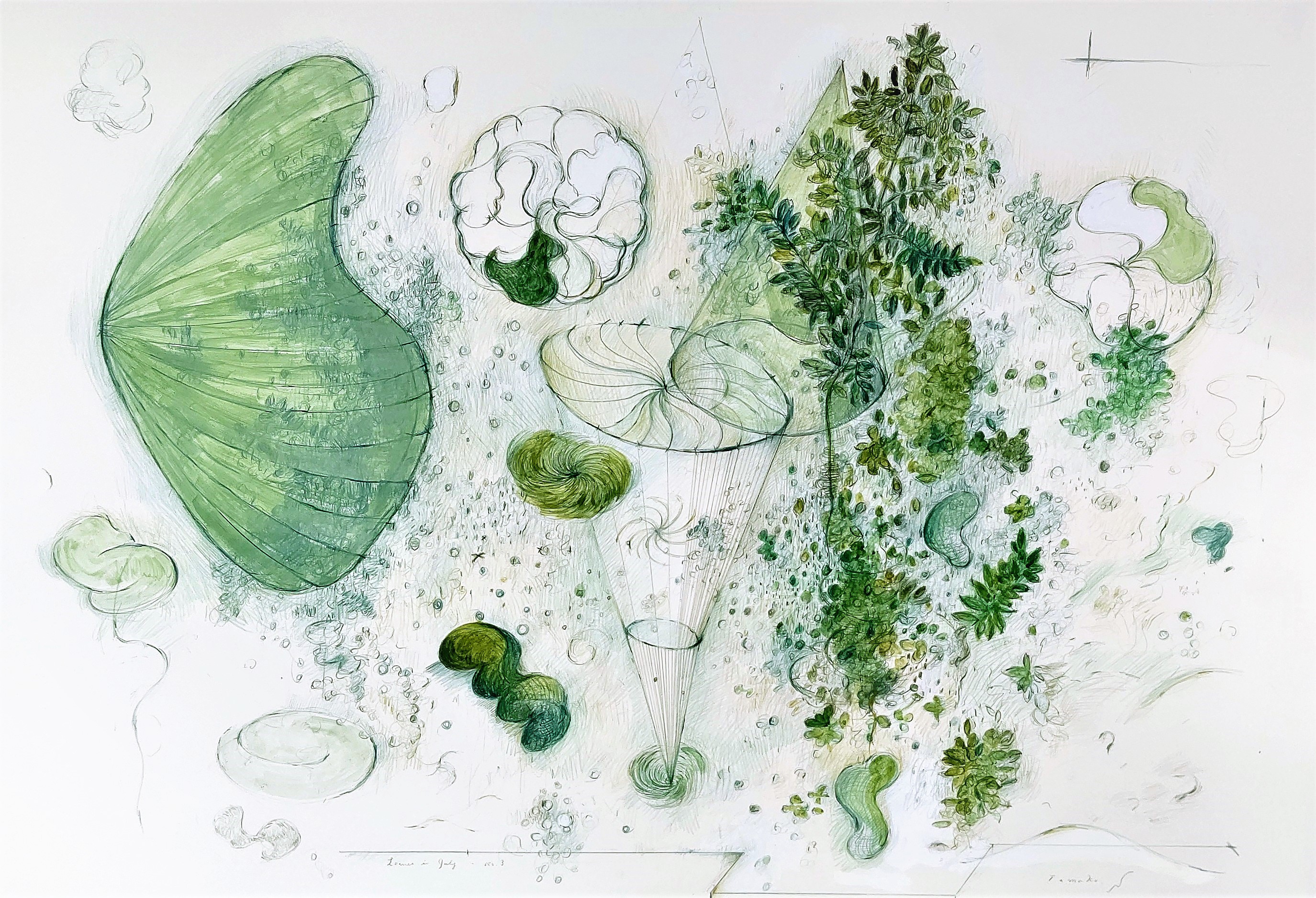 Green in July　1996　555×789㎜　                                  colorpencil,watercolor on paper