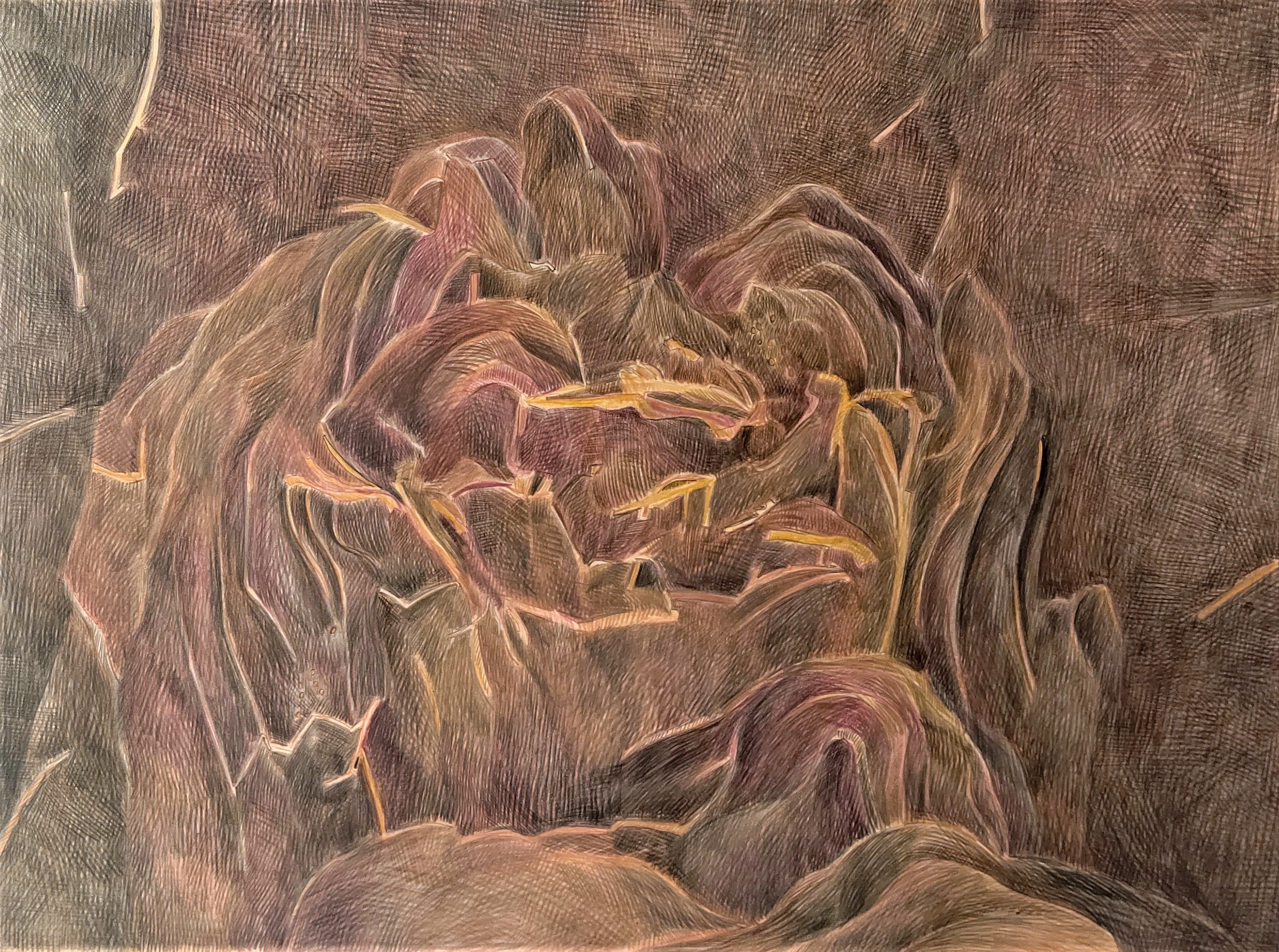 Mountain・Dream　1990　396×557㎜　　　　　　　　　　　colorpencil on paper