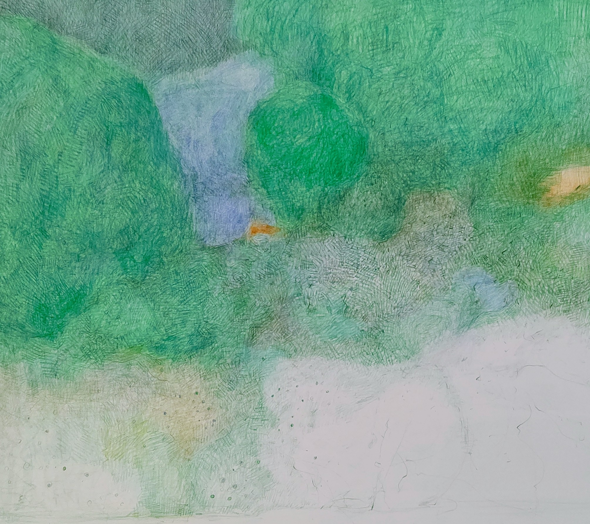 Garden in June　　　2007　425×515㎜　　　　　colorpencil on paper