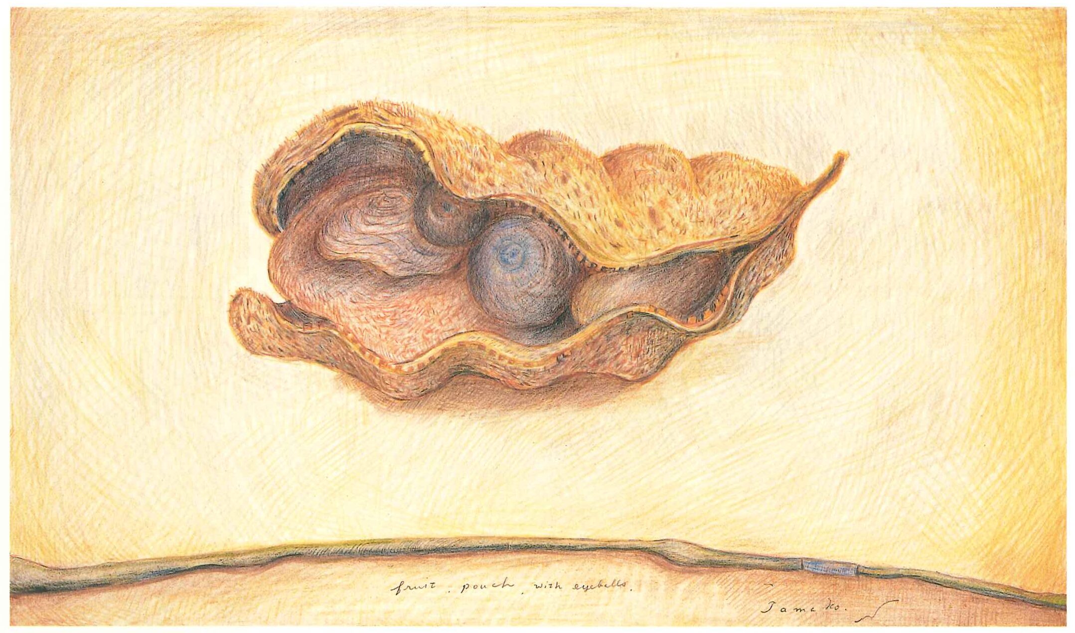 A Fruit　　1999　　　　180×305㎜　　　　　　　　　　colorpencil on paper