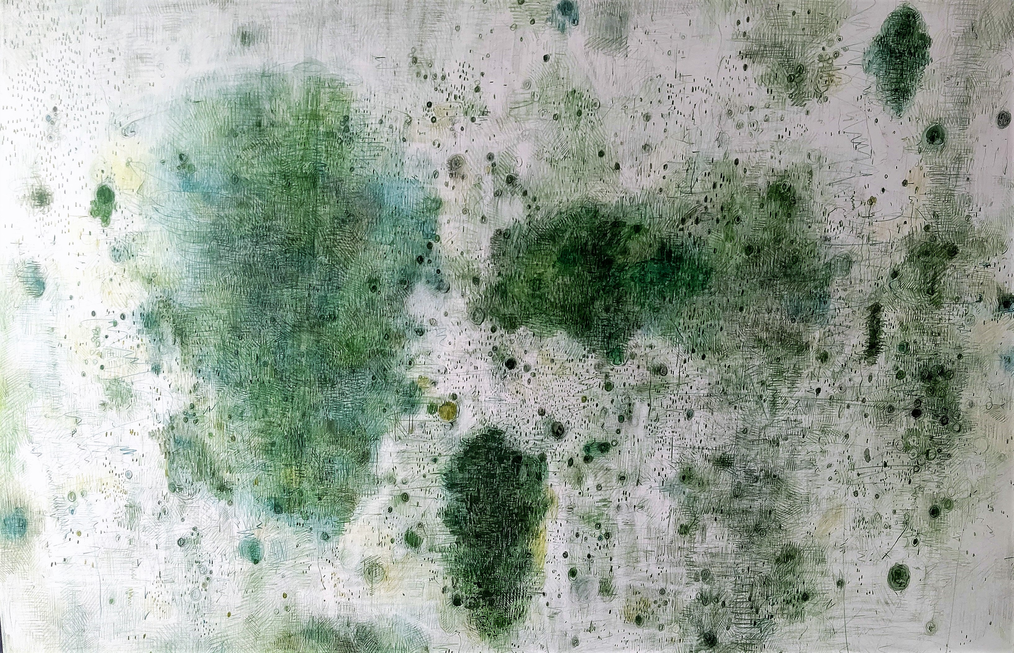 Green Falling 　1995　555×789㎜　　　　　　　　　colorpencil on paper