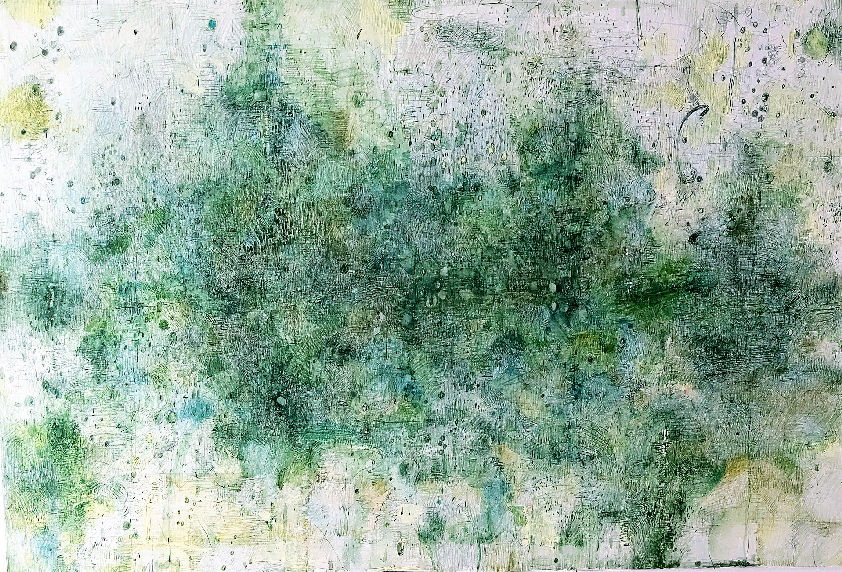 Green Falling  1995年　　475×695㎜　　　　　　　　彩色铅笔，纸