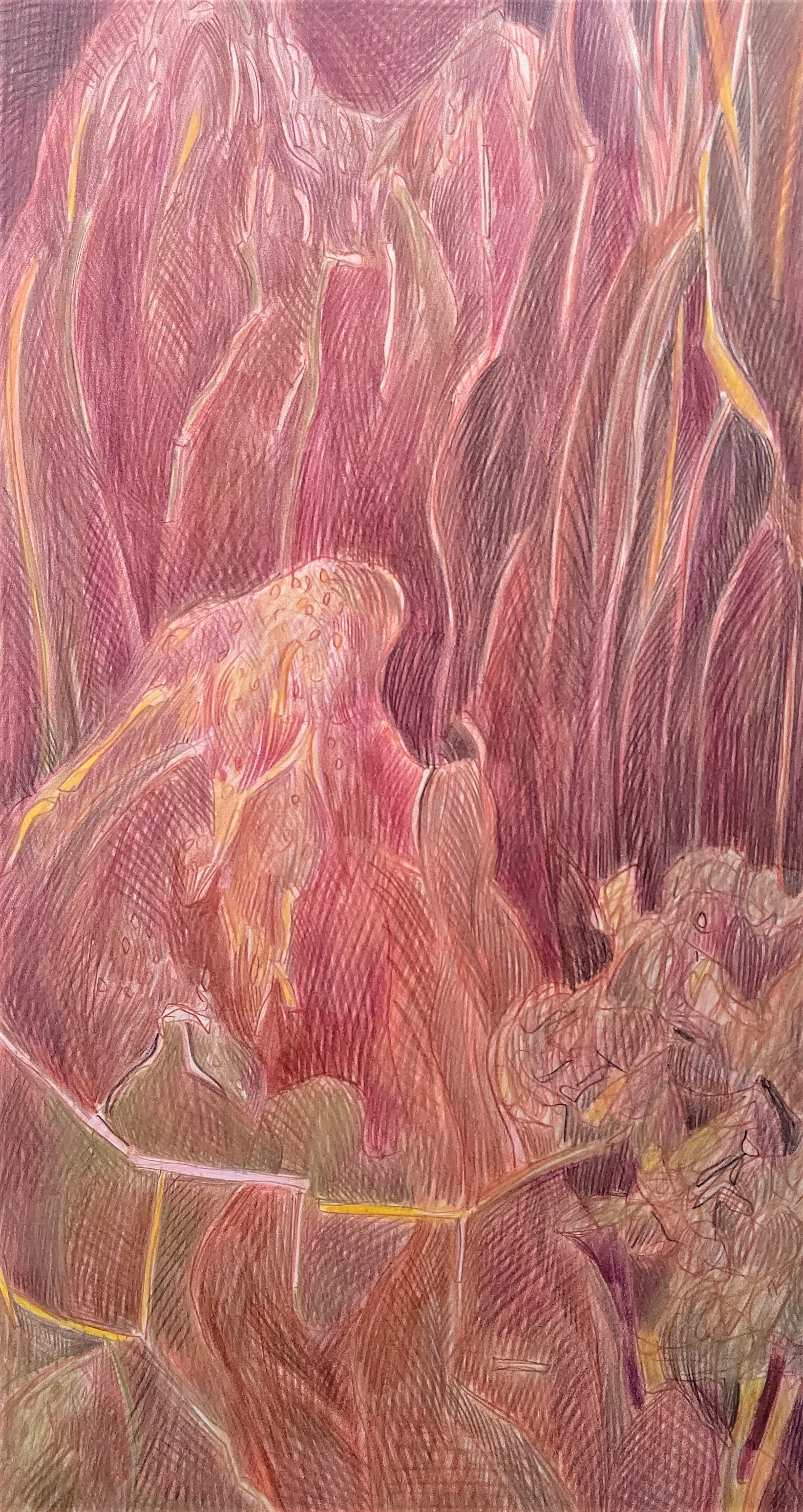 Ｍountain ・Ｄream　1990　405×220mm                                       colorpencil on paper