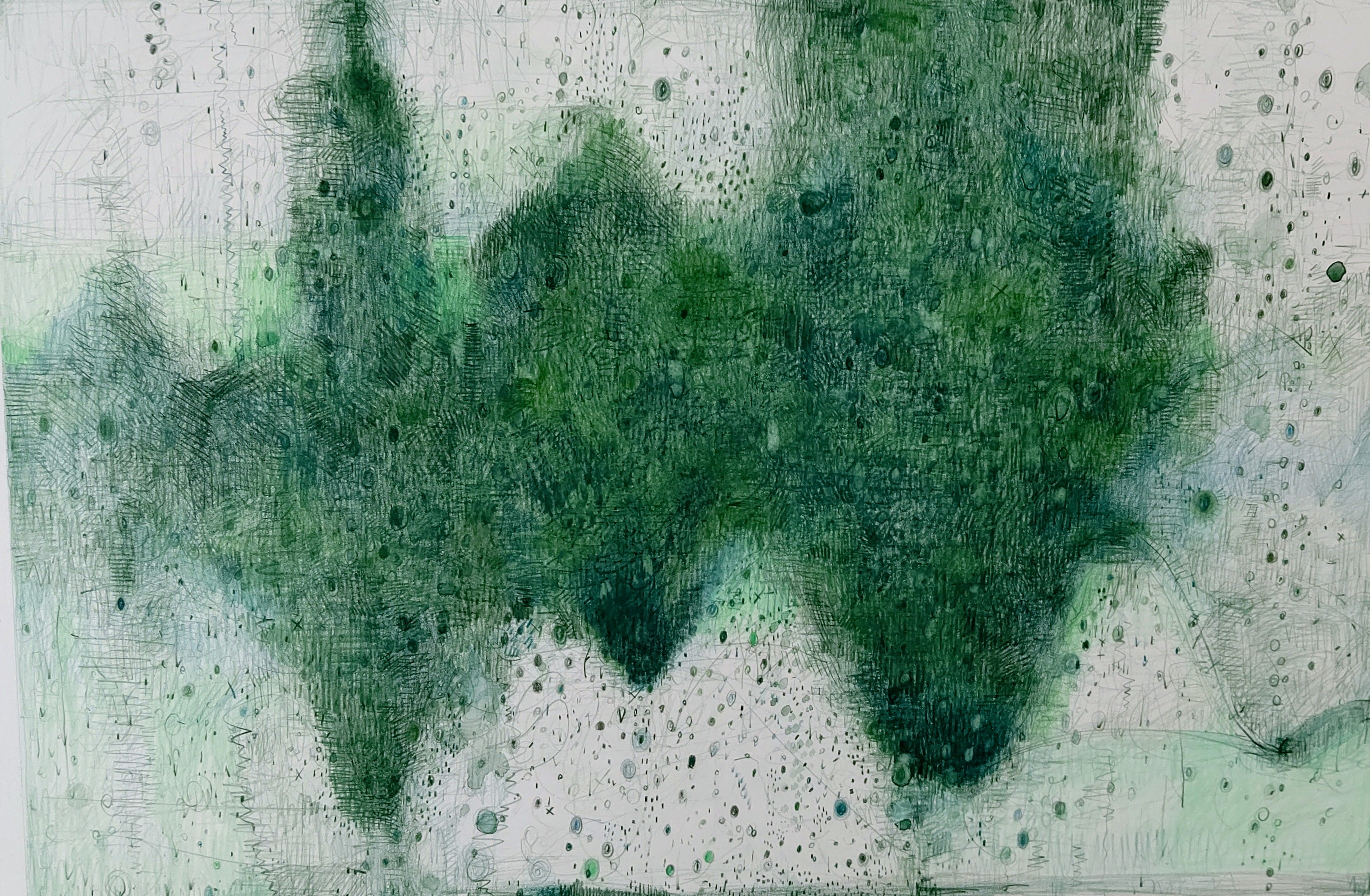 Green Falling  2006年　297×456㎜　　　　　　　　　色鉛筆、水彩、紙