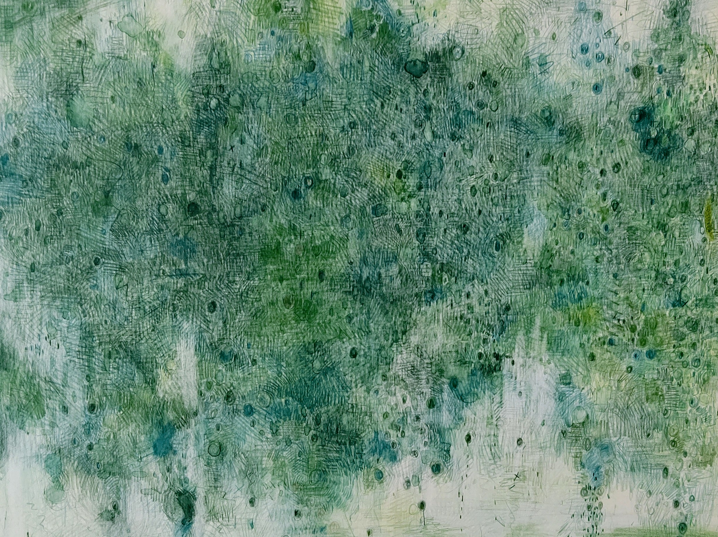 Green Falling  2006年　297×456㎜　　　　　　　　　colorpencil,watercolor on paper