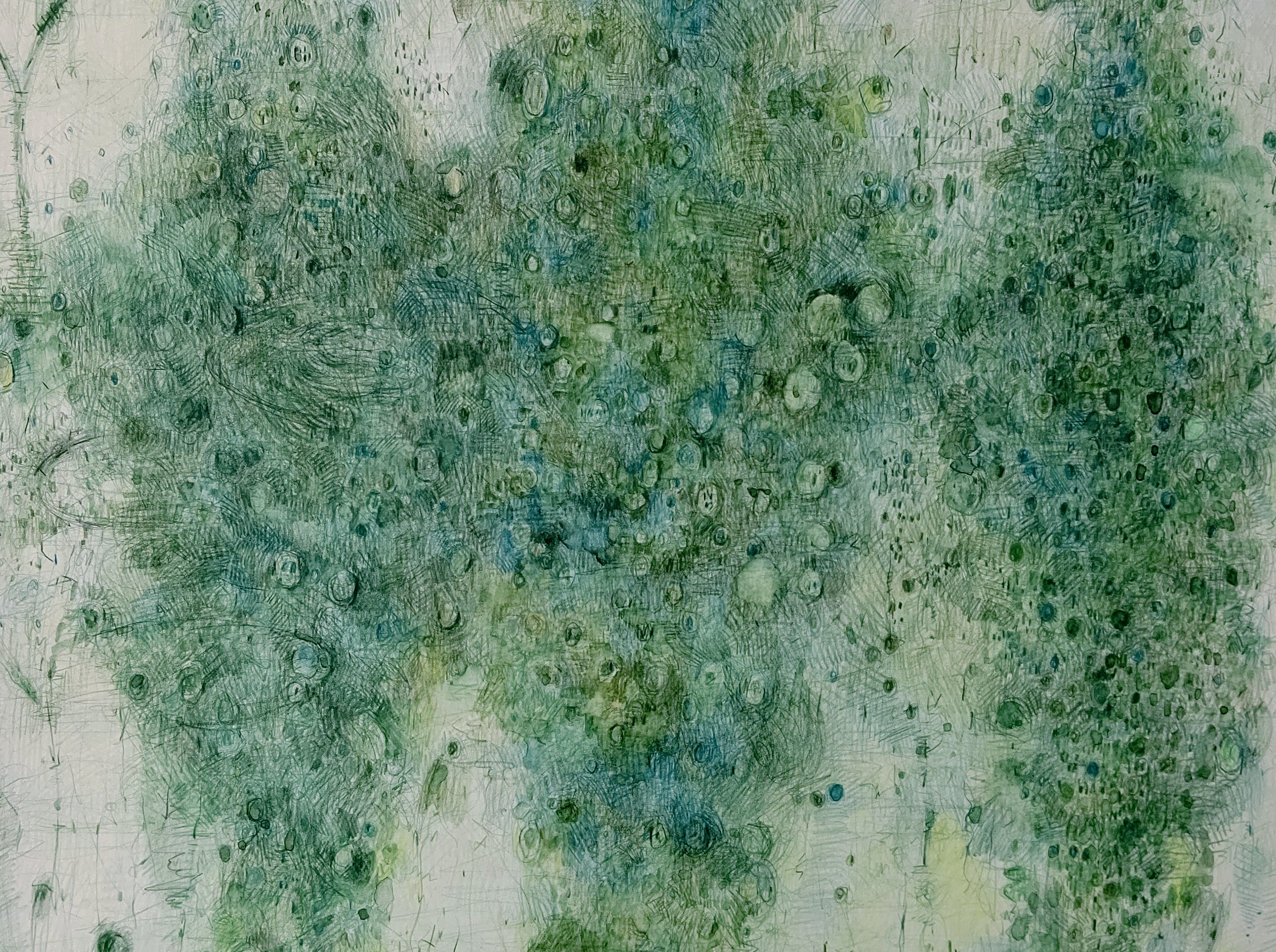 Green Falling  2007年　300×400㎜　　　　　　　　　colorpencil,watercollor on paper