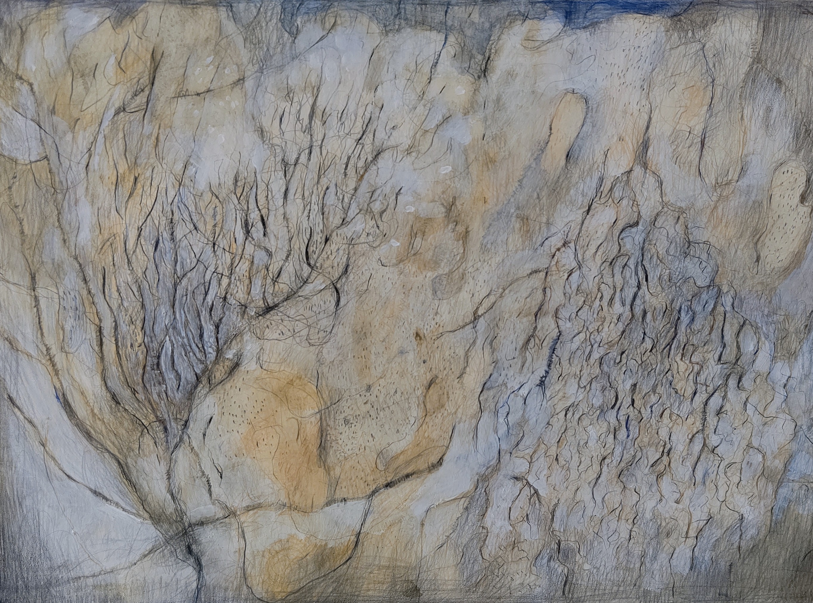 Branches and Night　2001　　　216×305㎜　　　　　　　colorpencil on paper