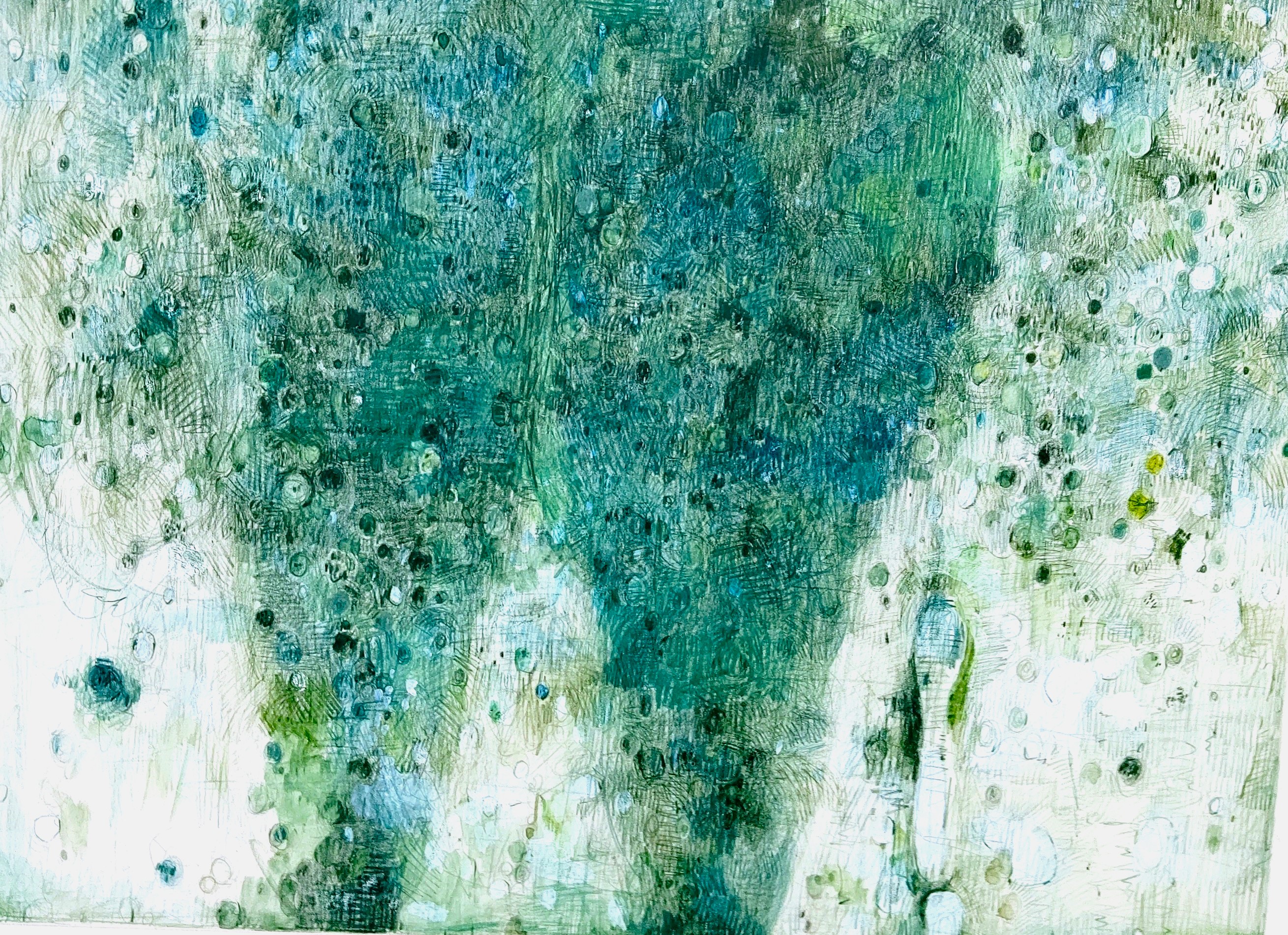 Green Falling　　2005　　297×391㎜　　　　　　　　　colorpencil,watercollor on paper