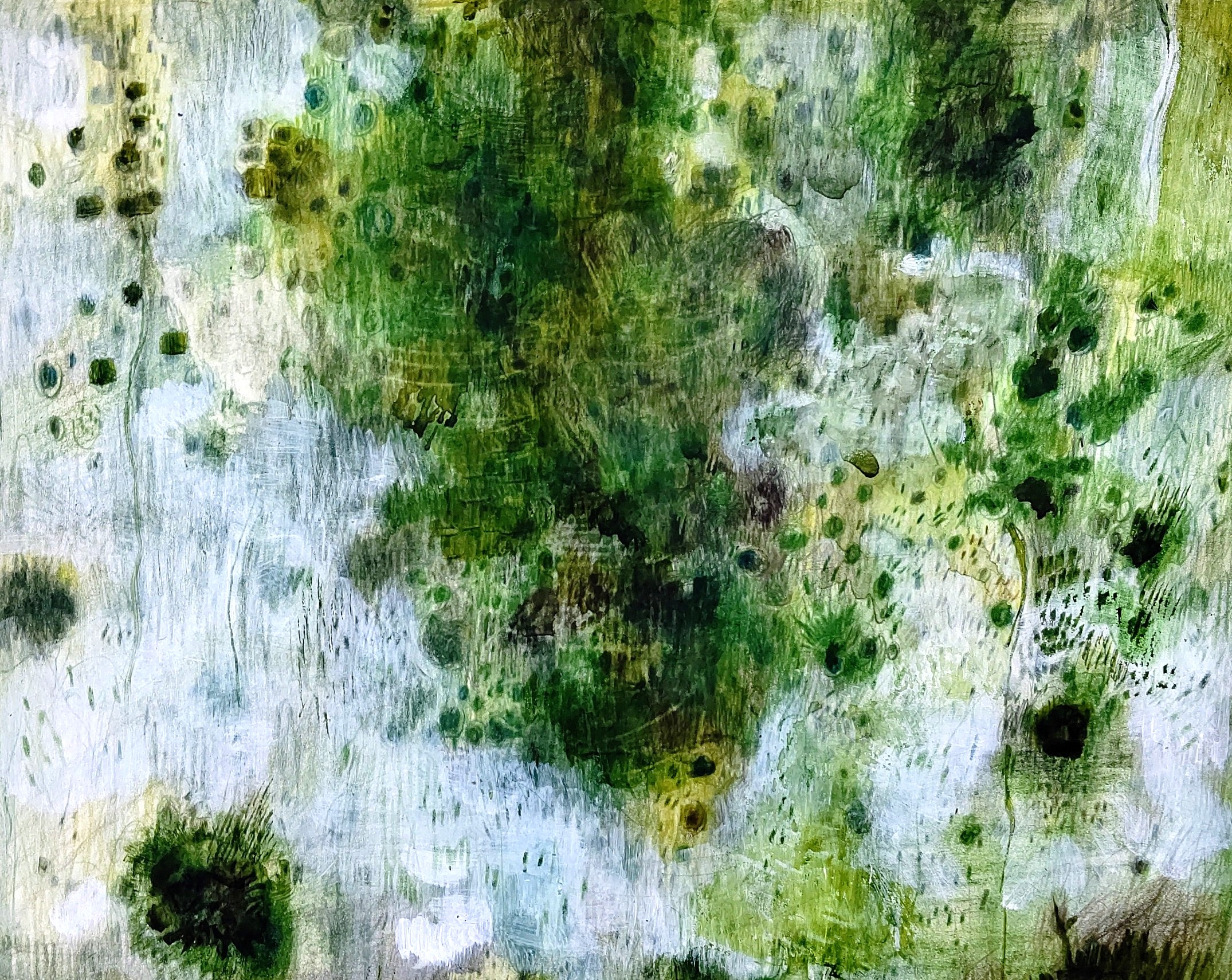 Green Falling  2003年　　238×288㎜　　　　　　　　　彩色铅笔，水彩，纸