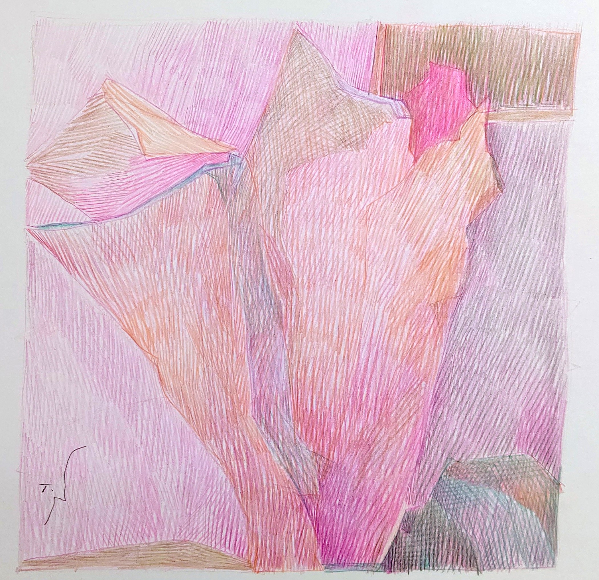 Flower　1984　　　220×218mm                                 colorpencil on paper