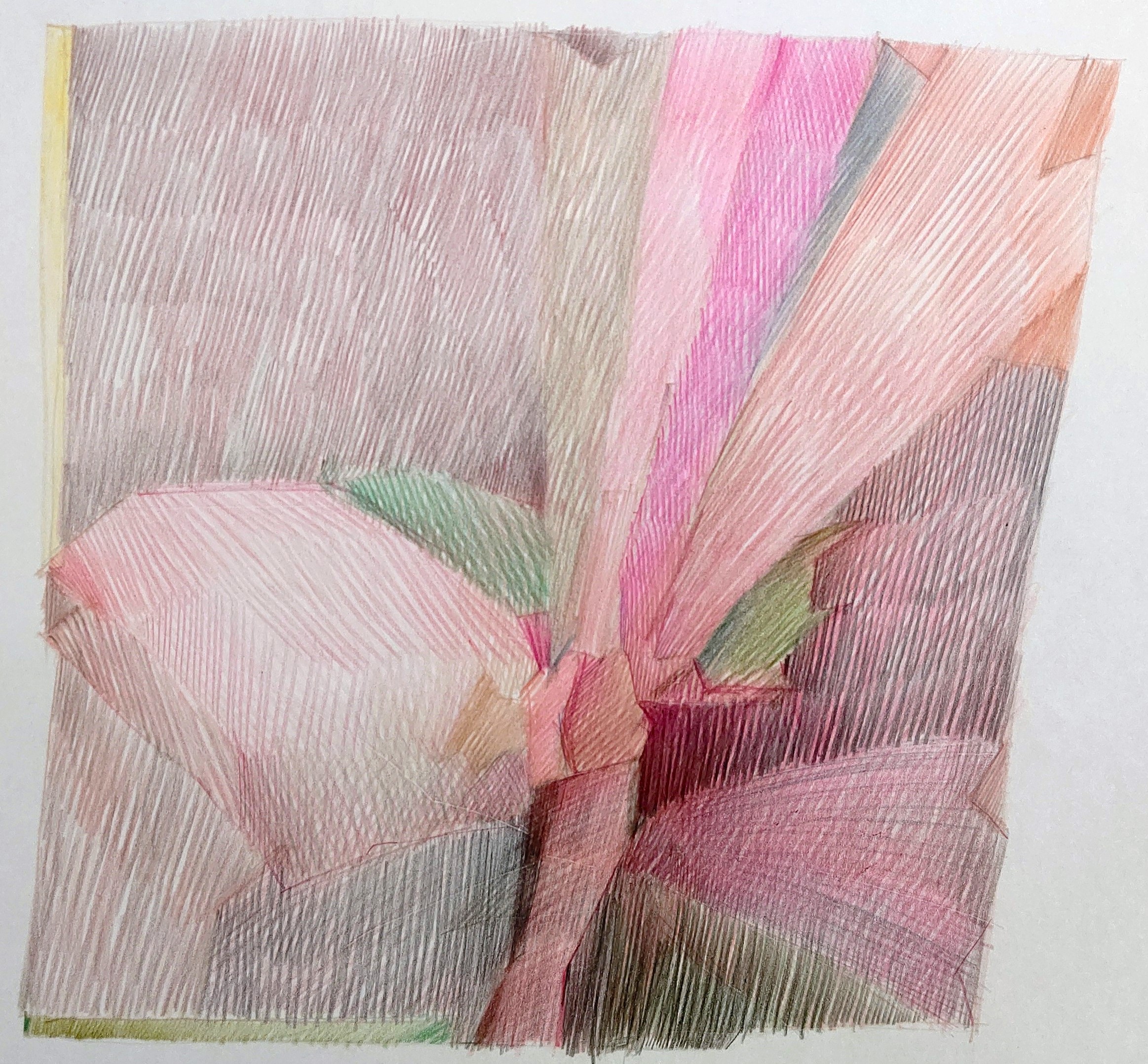 Flower　1984　200×210㎜　　　　　　　　　          colorpencil on paper