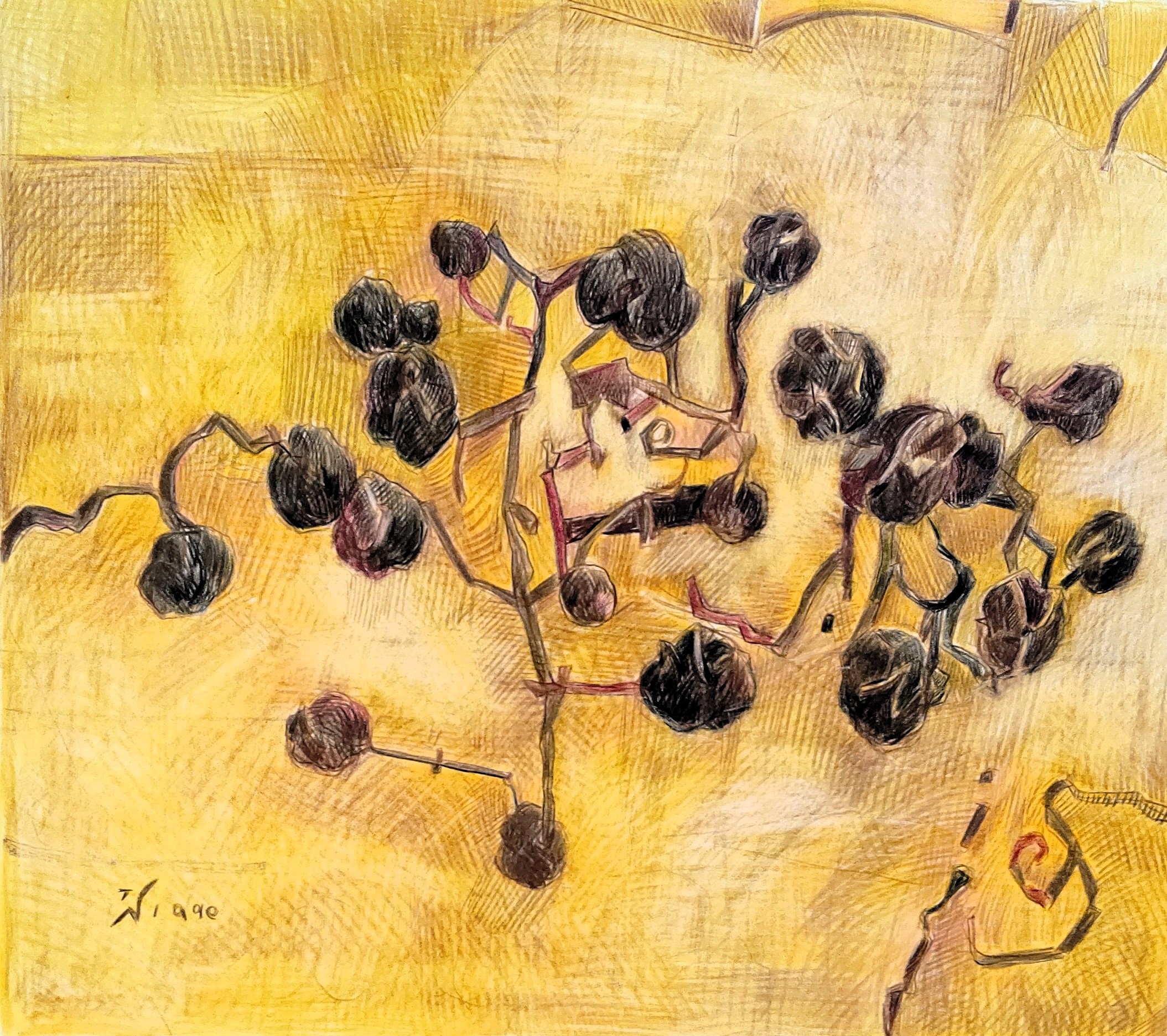 Grape　　1990　260×300㎜　　　　　                      colorpencil on paper