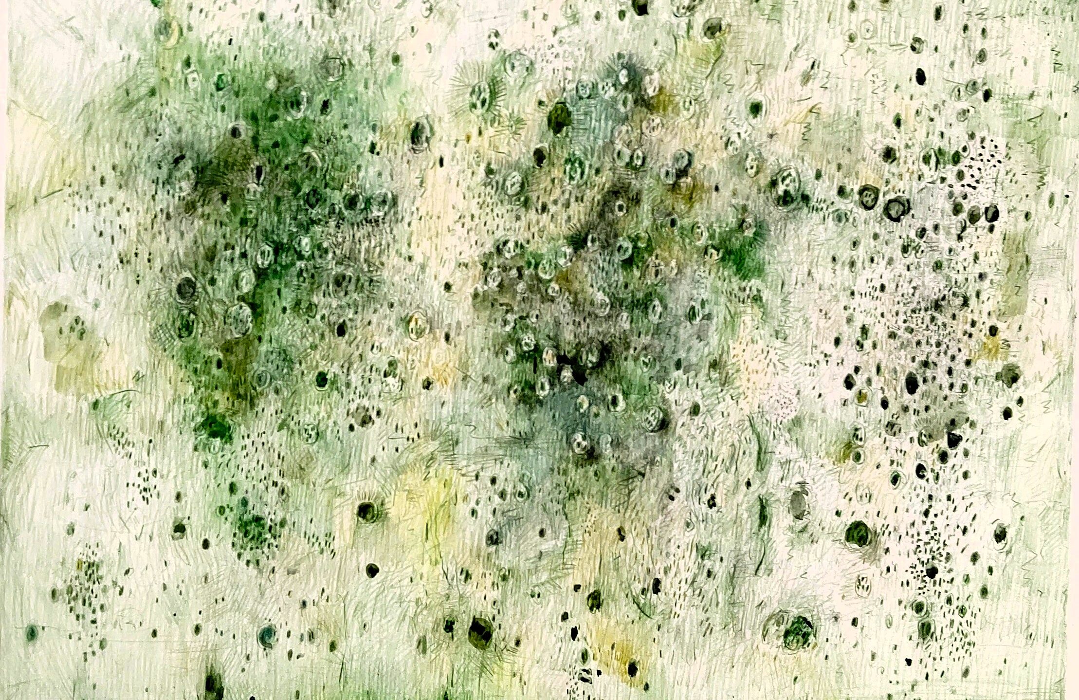 Green Falling(Seeds)  　2006年　　280×400㎜　　　　色鉛筆、紙