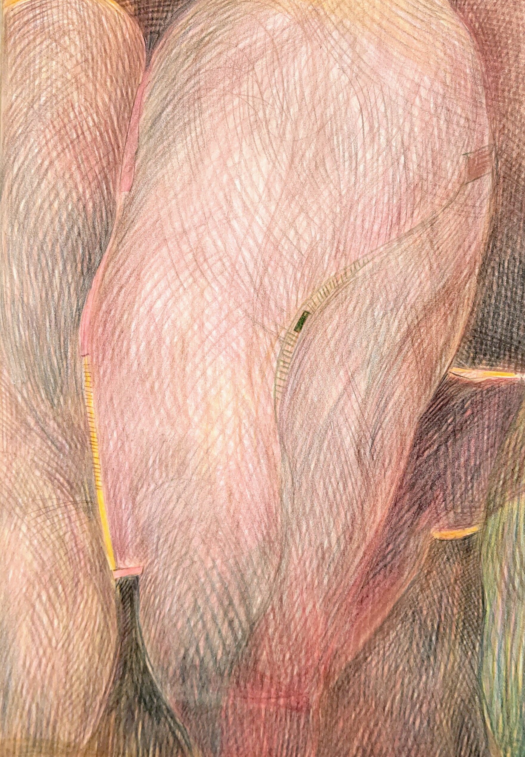 Image  1990　260×180㎜　　　　　　　　　　　　　colorpencil on paper